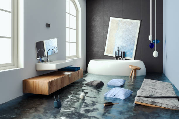 Best Water damage restoration services  in Medina, MN