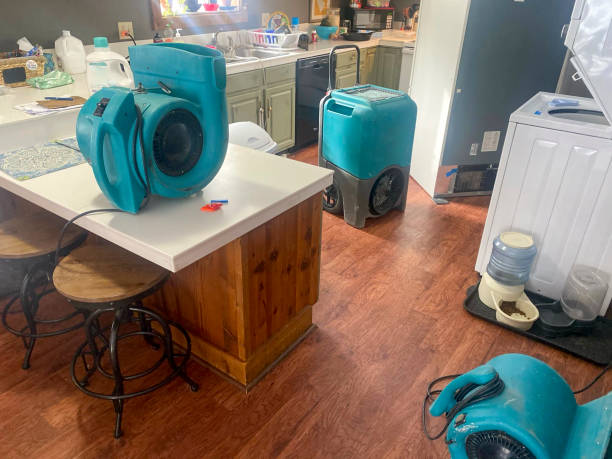 Best Residential water damage restoration  in Medina, MN