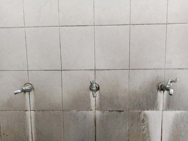 Best 24/7 water damage repair  in Medina, MN