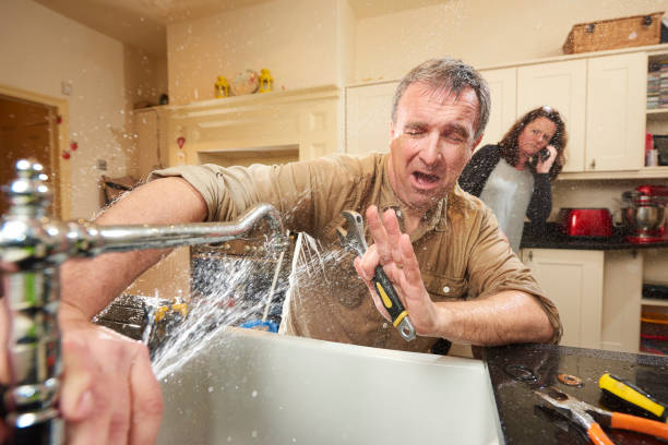 Best Water damage cleanup near me  in Medina, MN